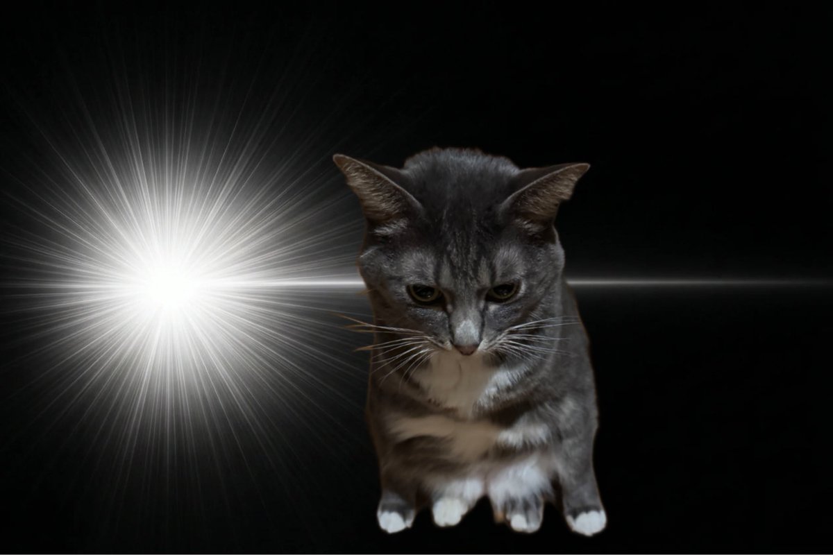 ミーキャン𖥣 𖤣 . . 𖥧 𖥧 𖧧 tweet media