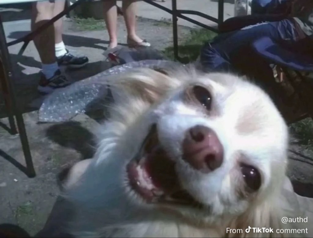 Courtney tweet media