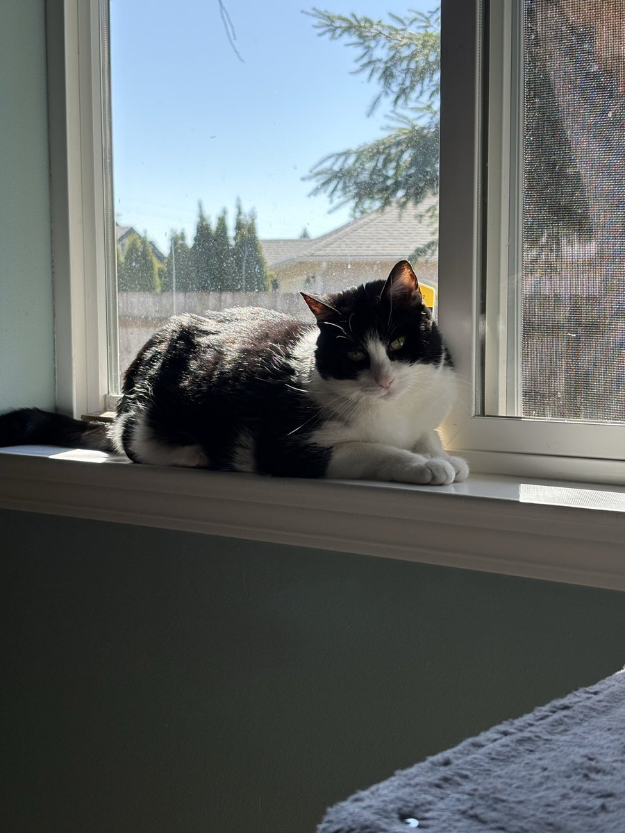 💔🌈 Angie & Ben 🐾 & Poppy tweet media