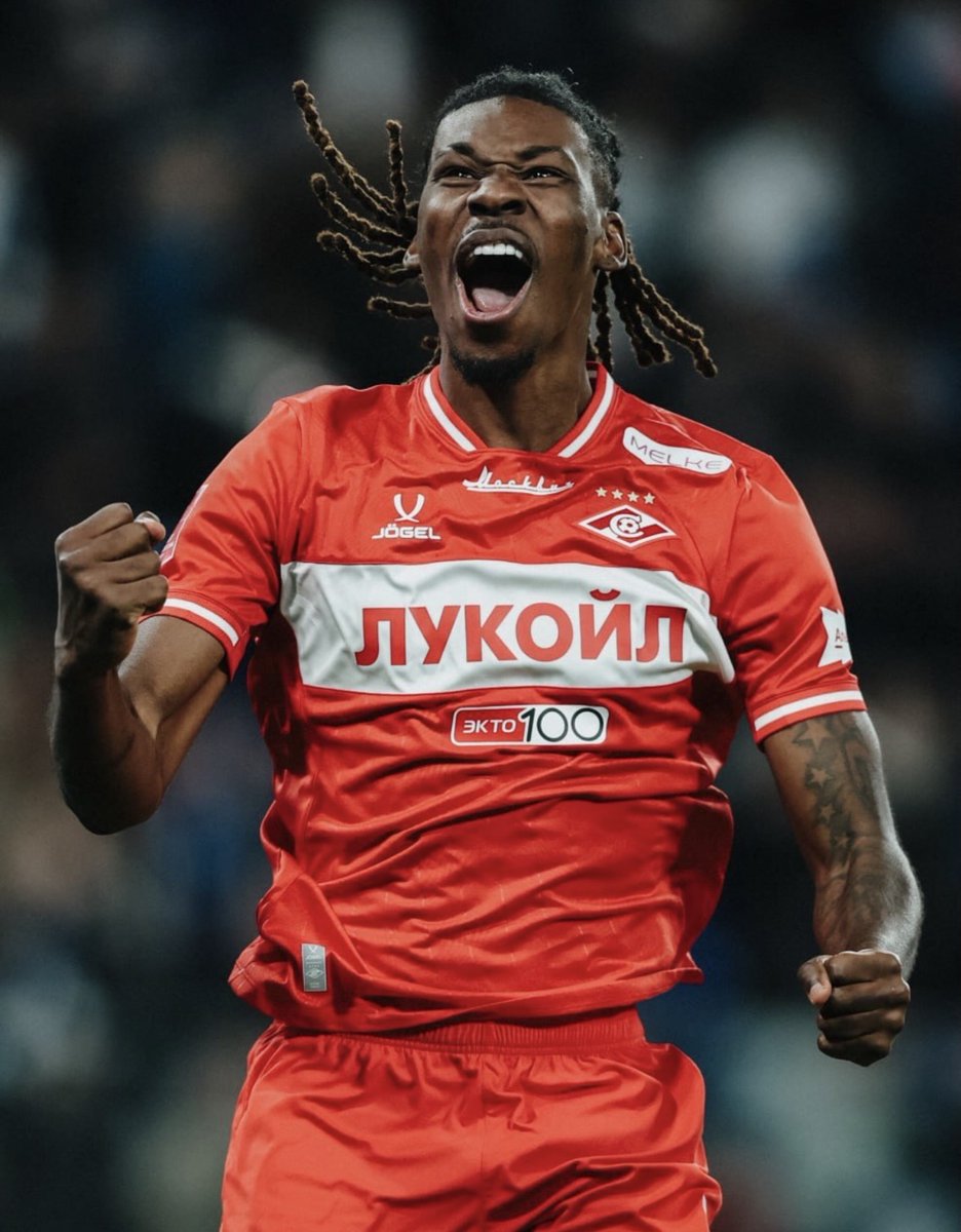 AllezLesLions tweet media