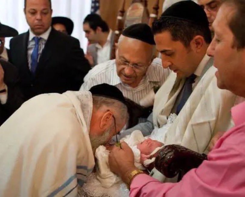 Noah’s Ark 🚢 tweet media