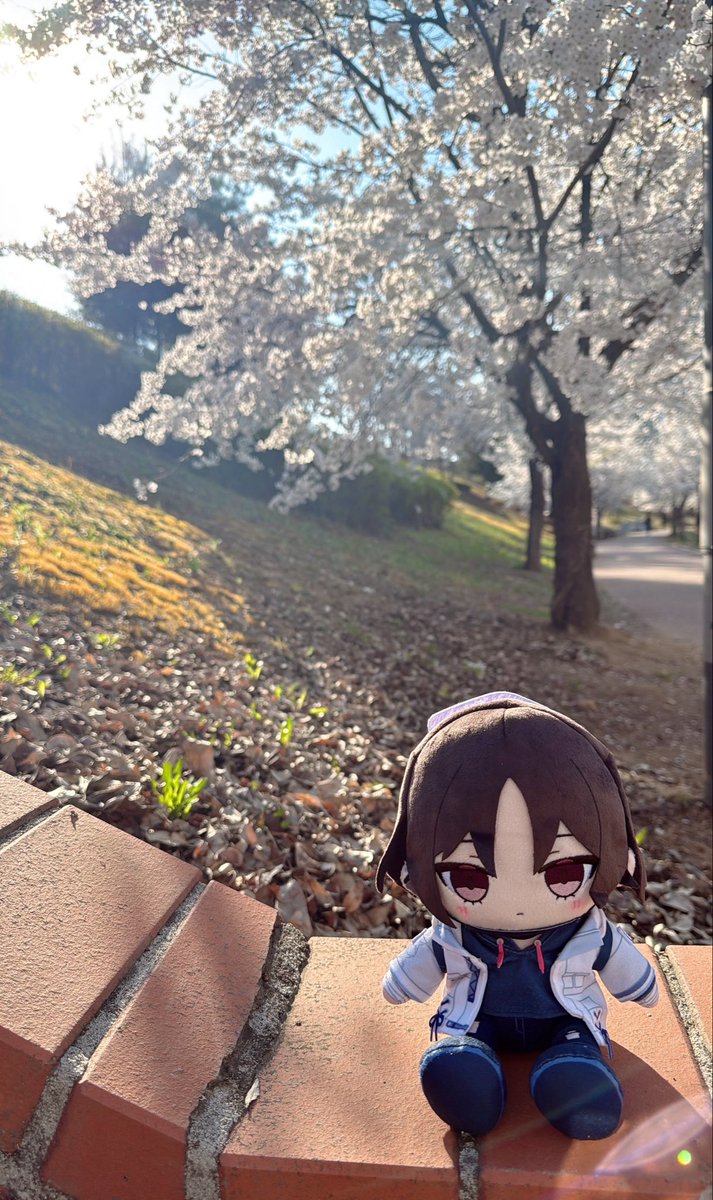 MOLO?Time tweet media