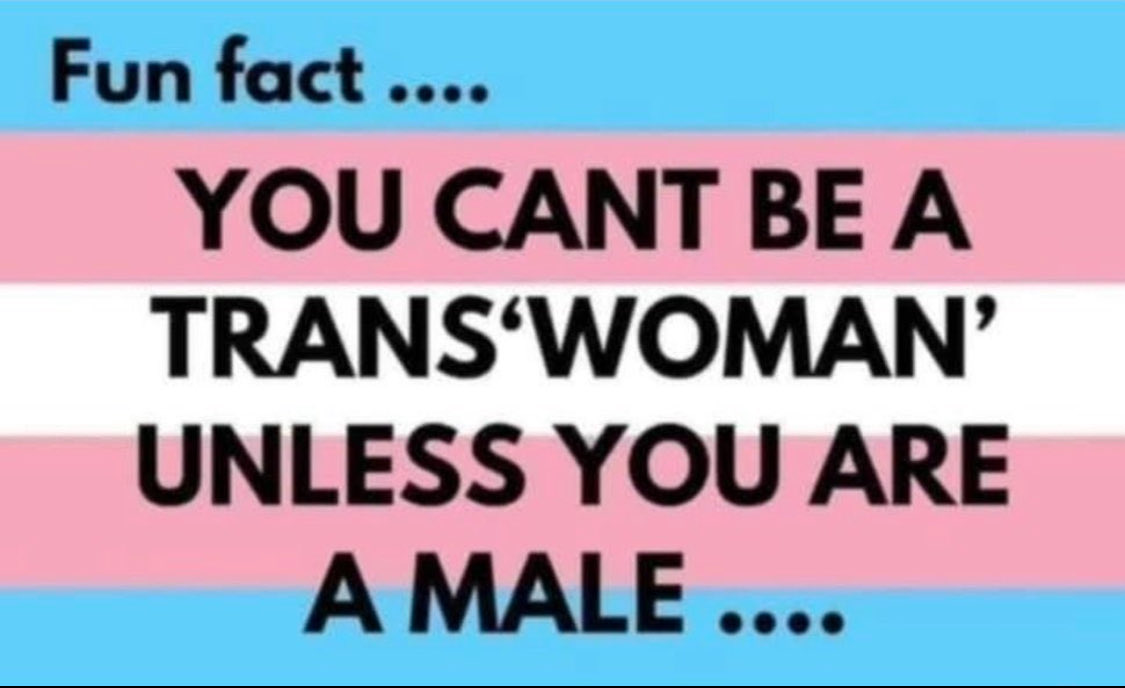 Raven🇺🇸🇺🇸 tweet media