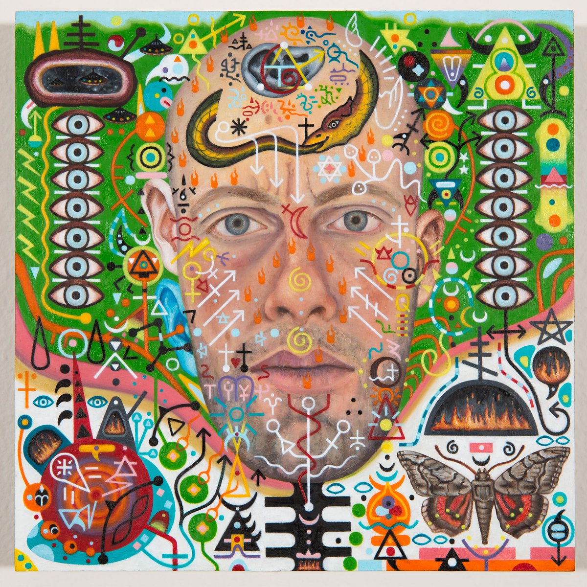 Taylor Sterling tweet media