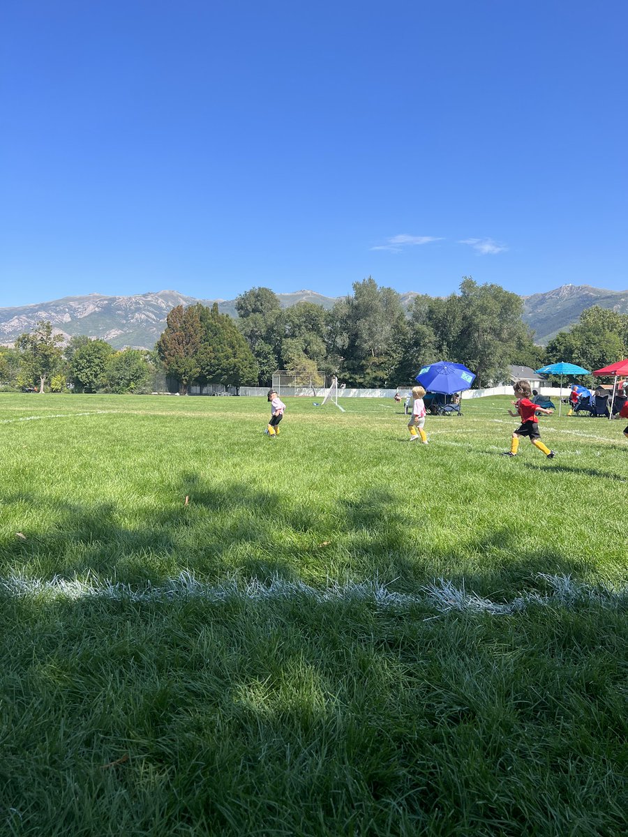 Random Public Park 🏞️ tweet media