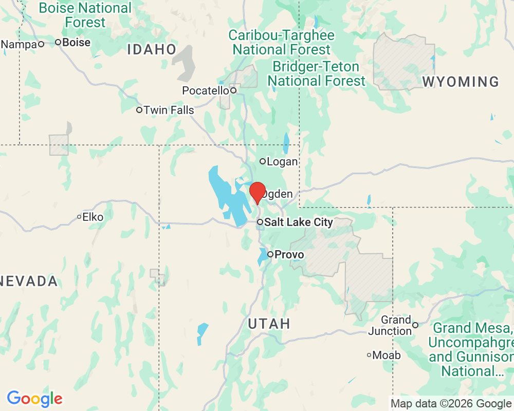 Random Public Park 🏞️ tweet media