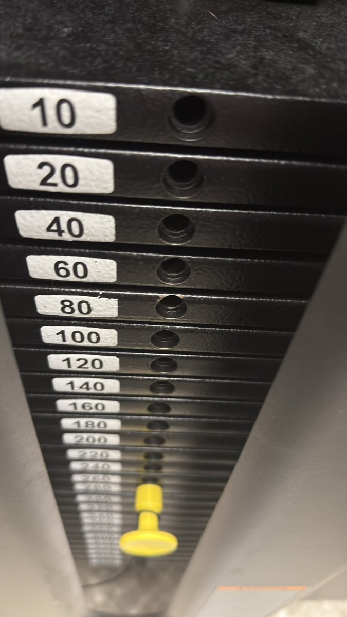 Seekaplayer tweet media