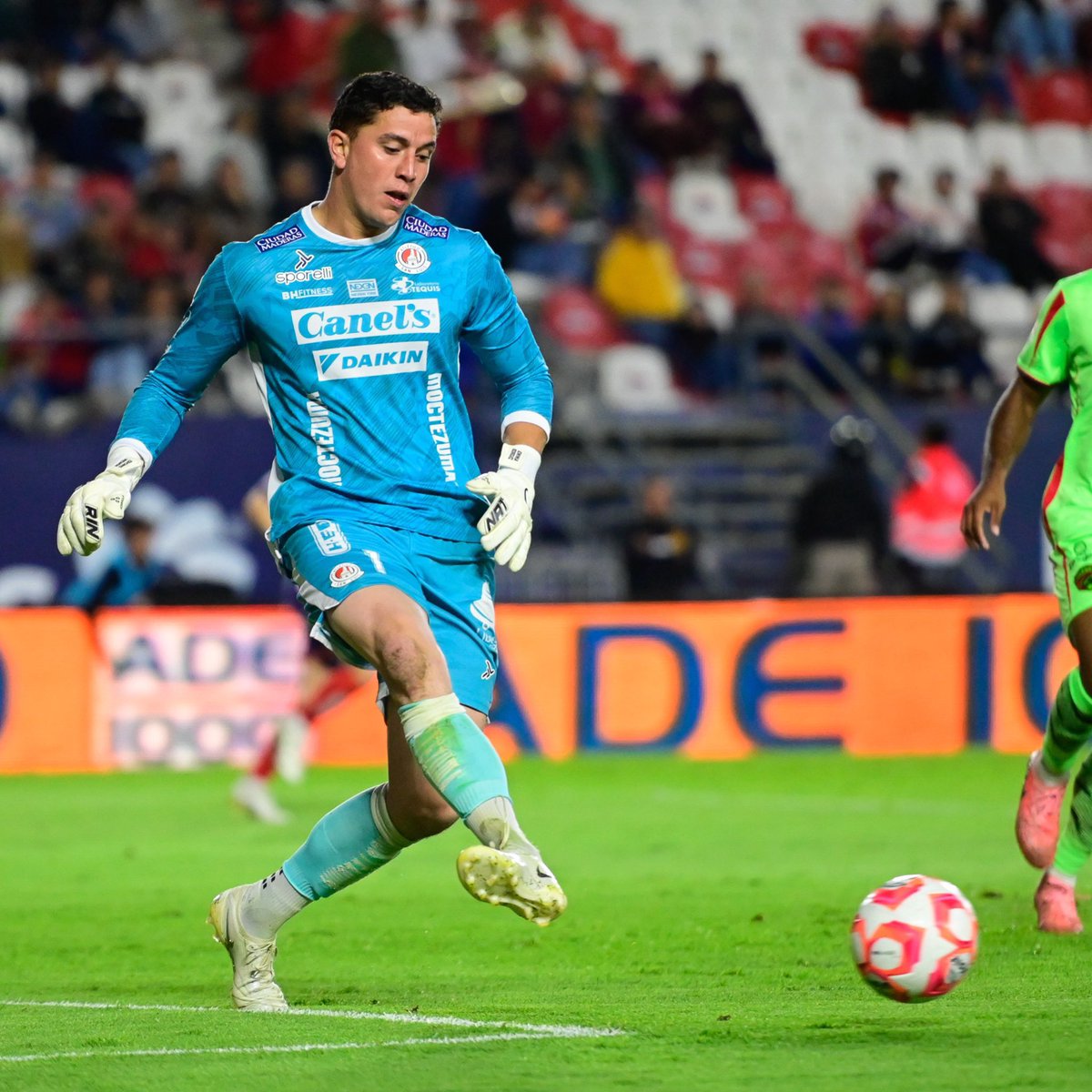 Línea Azulcrema 🦅 tweet media