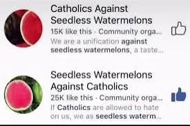 CactusSD tweet media