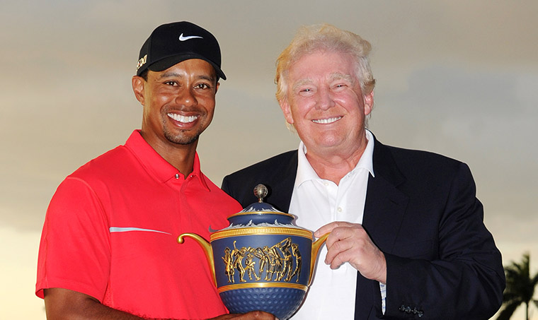 Sandra Rose tweet media