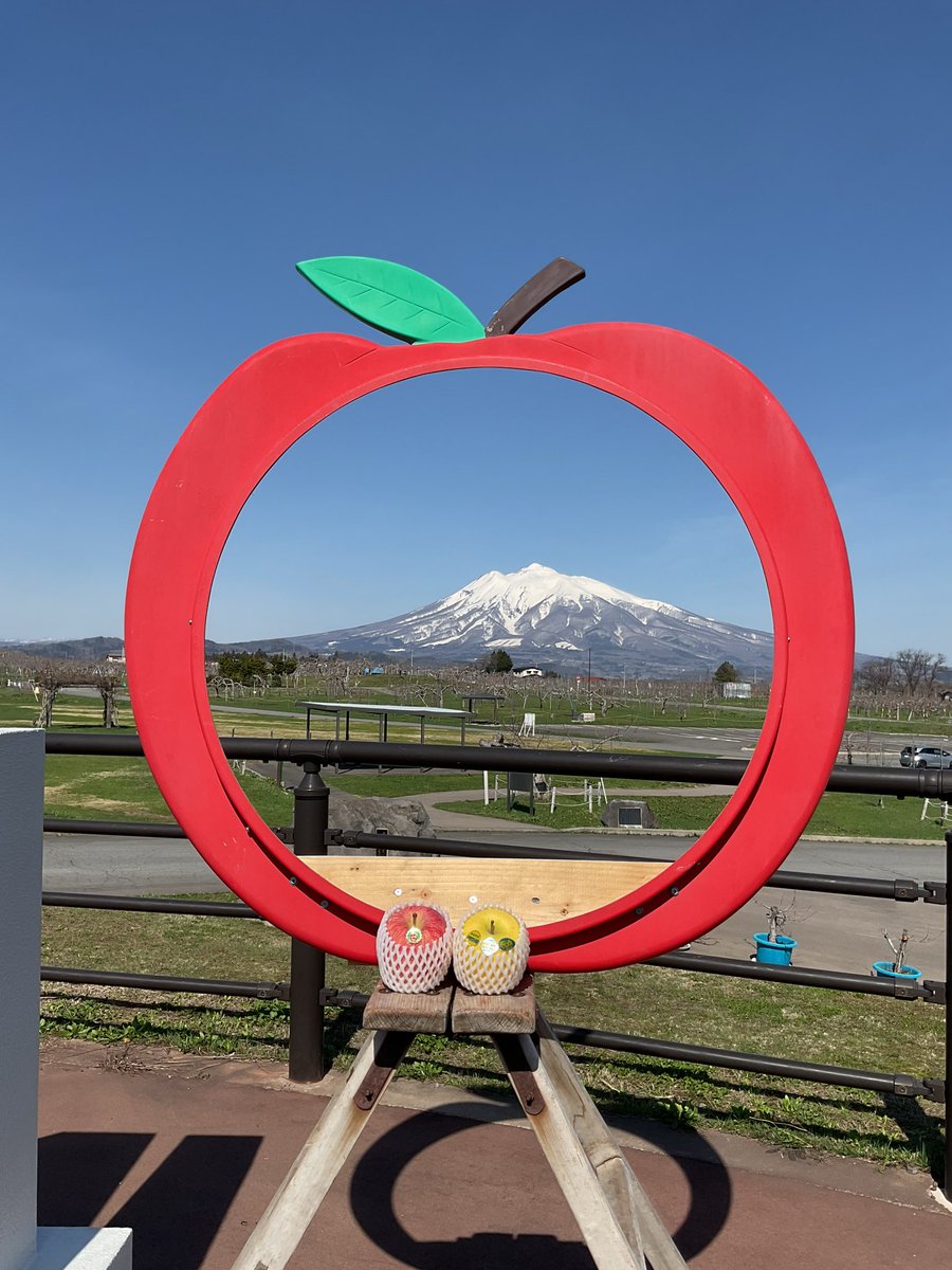 おはようございます☀ 本日もぽかぽかといいお天気です りんご公園で