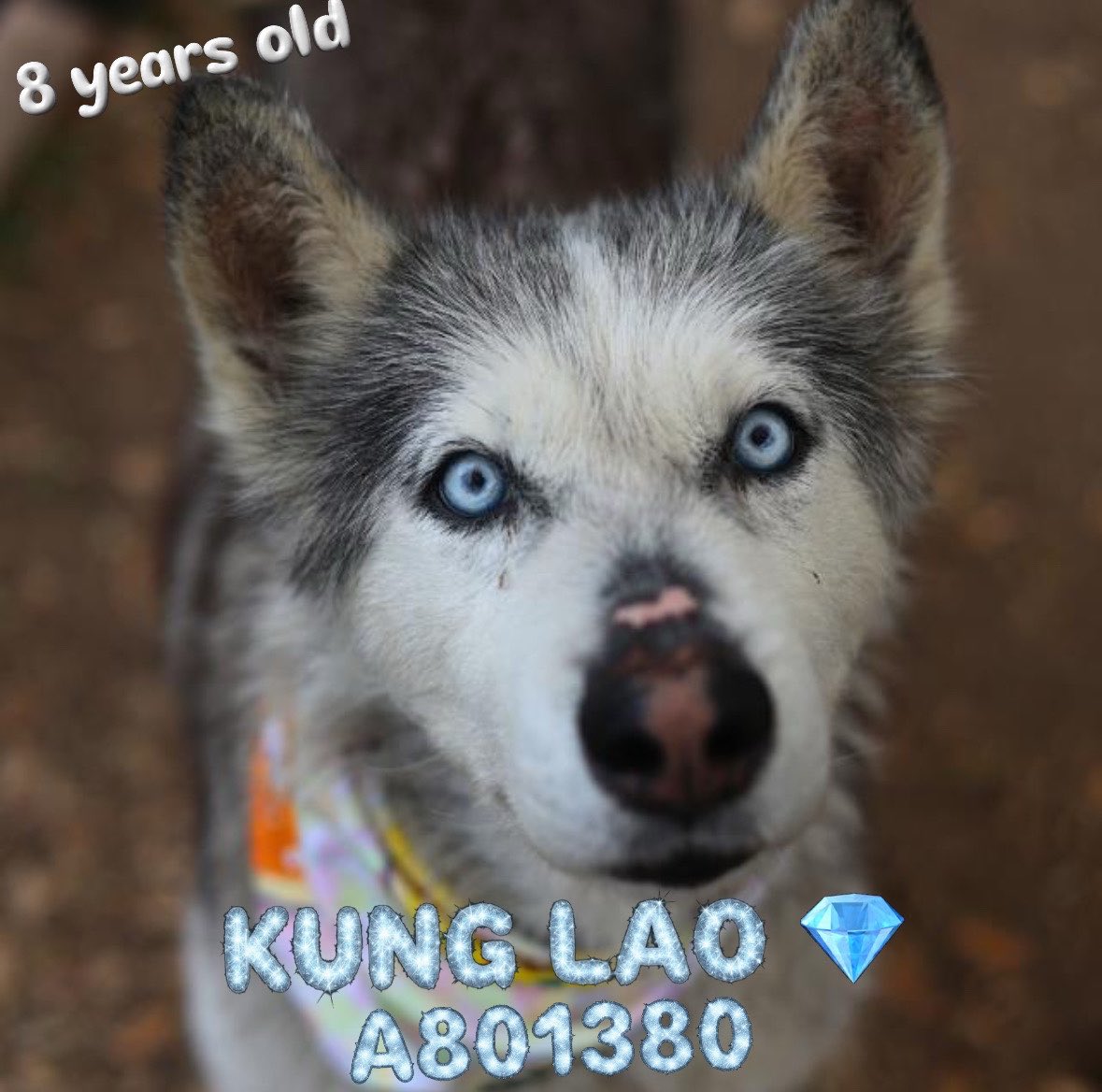 Aurora ⸆⸉ misses Liam ❯❯❯❯ tweet media