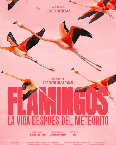 bertobellamy's tweet photo. @desdebalcon @PROFEPA_Mx Hija de la chingada. Si algo me enseñó el documental "Flamingos", es que la supervivencia del flamenco depende de que un chingo de factores que conjuguen, y luego llega este ser a complicar aún más todo. https://t.co/lstfL26Wq1