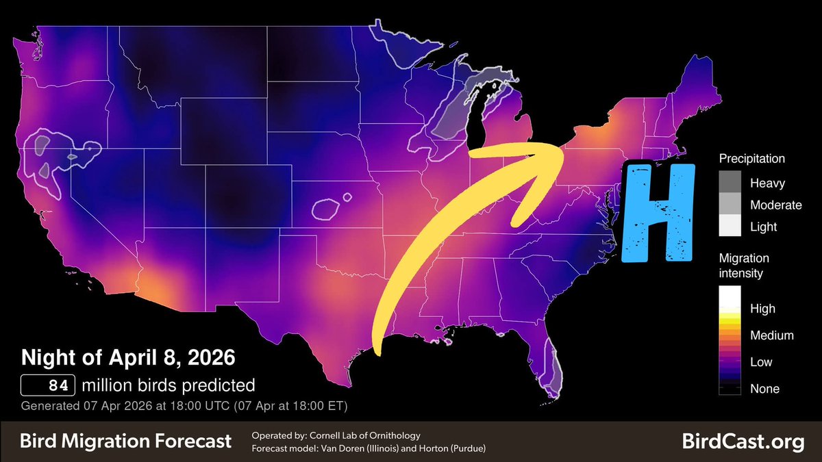 84 million birds are predicted to migrate tonight!
You can help them: Turn off outdoor lights, shut curtains, and make sure bird feeders are sanitized or taken down.