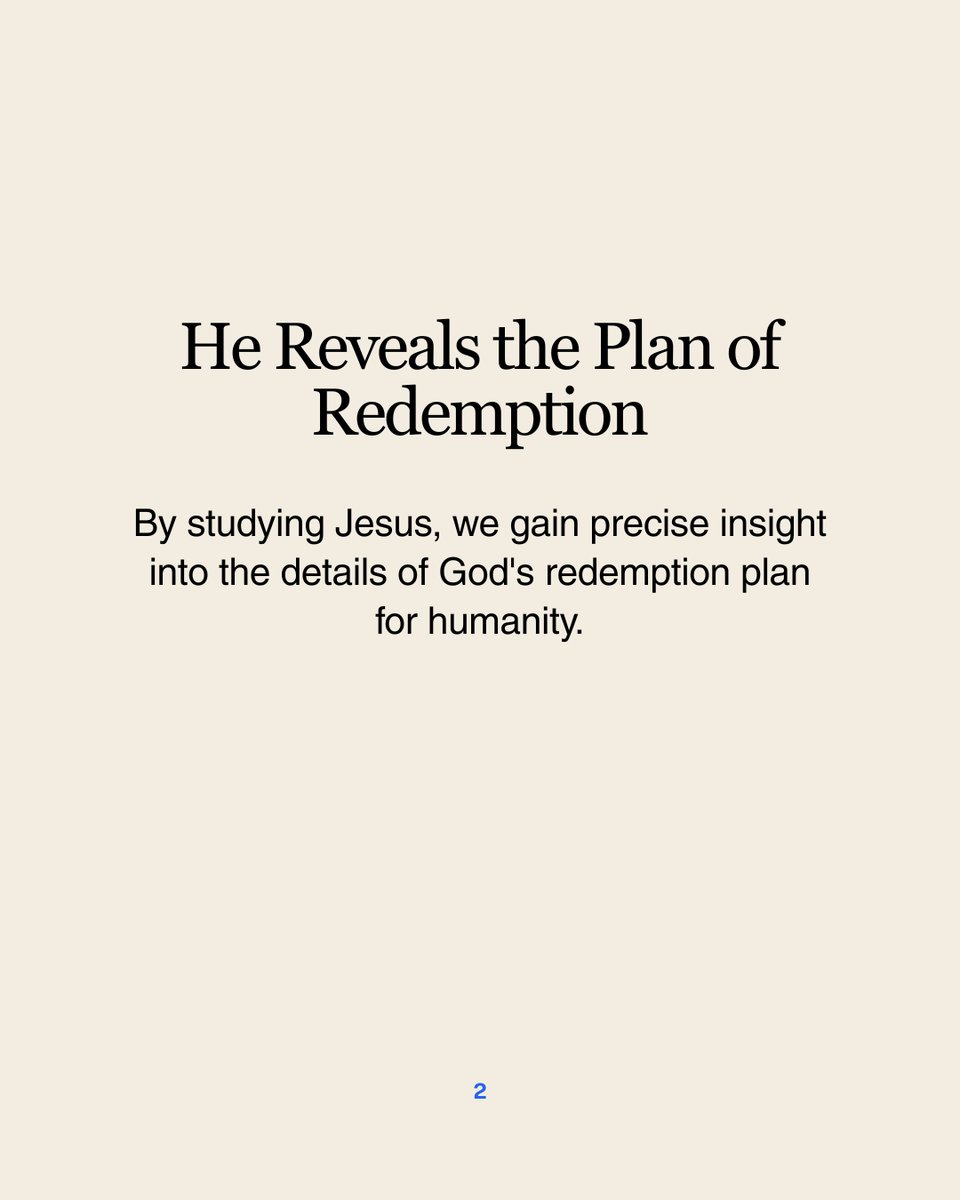 The Life PM tweet media