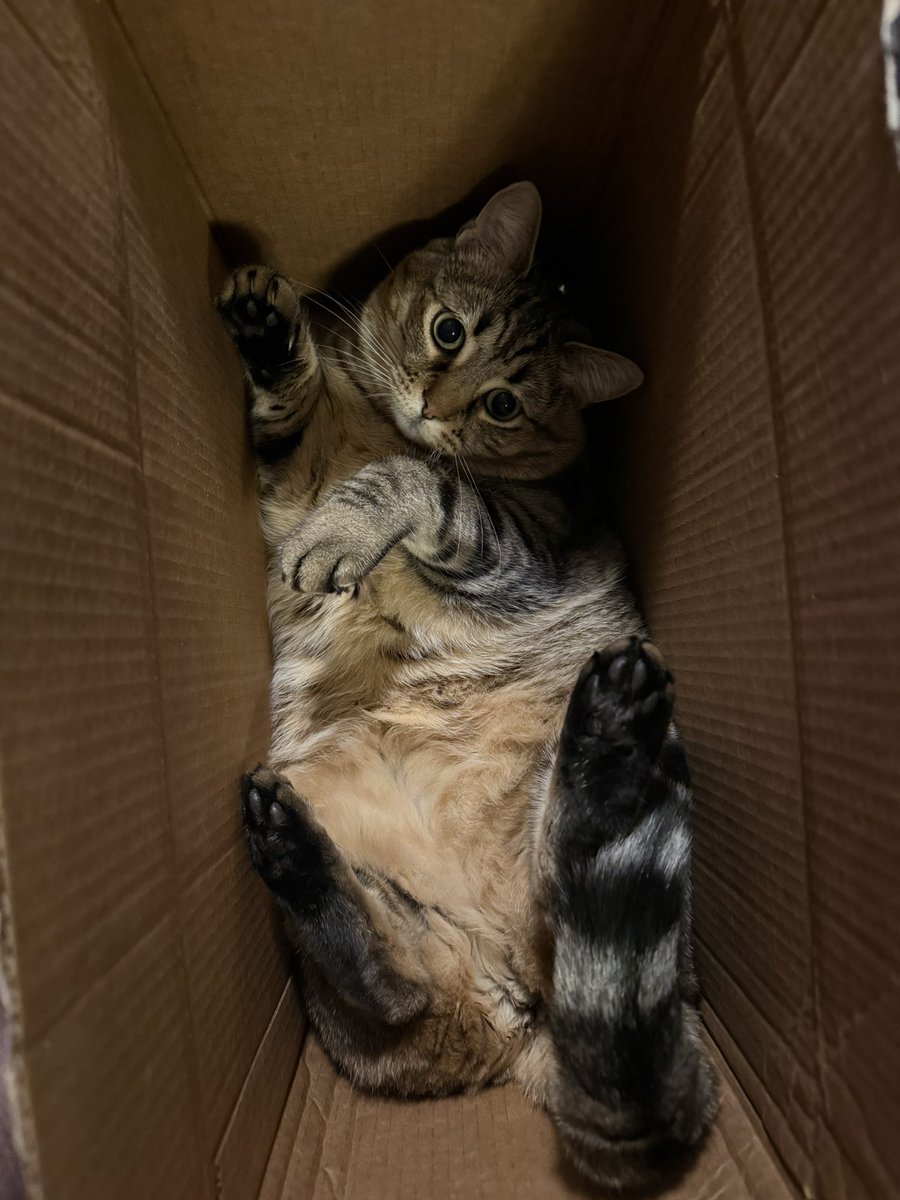 Michaelmcchill tweet media