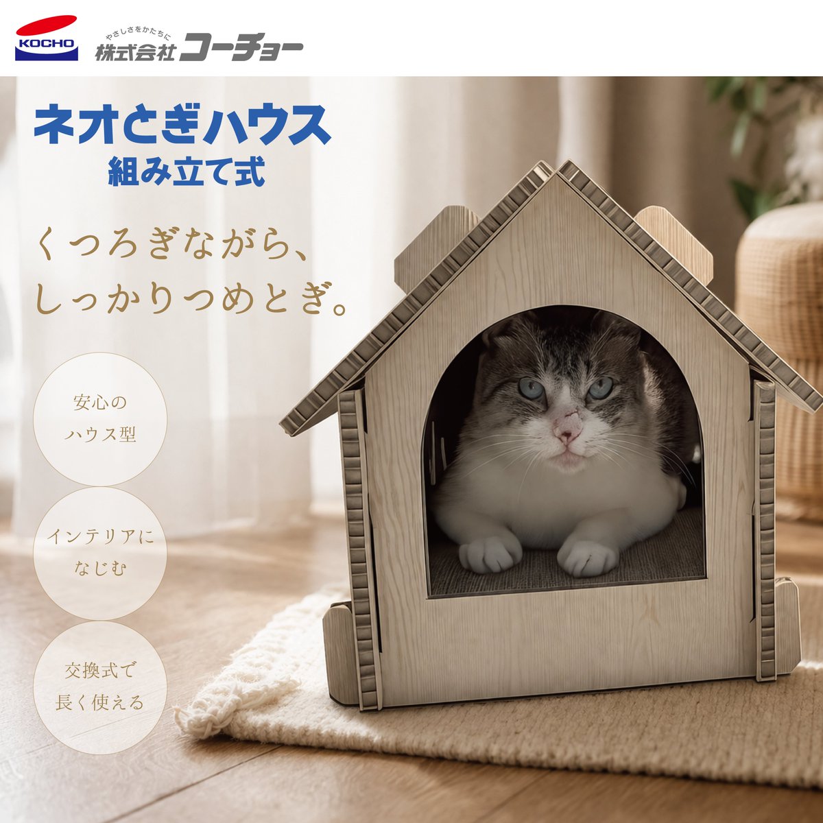 kocho_jp tweet media
