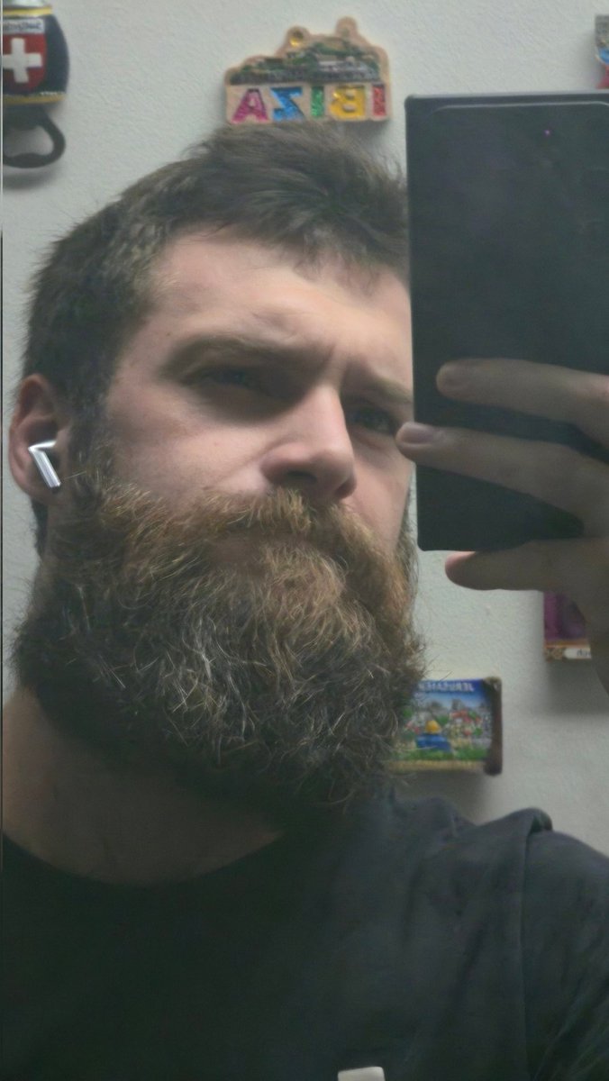 My OnlyCats tweet media