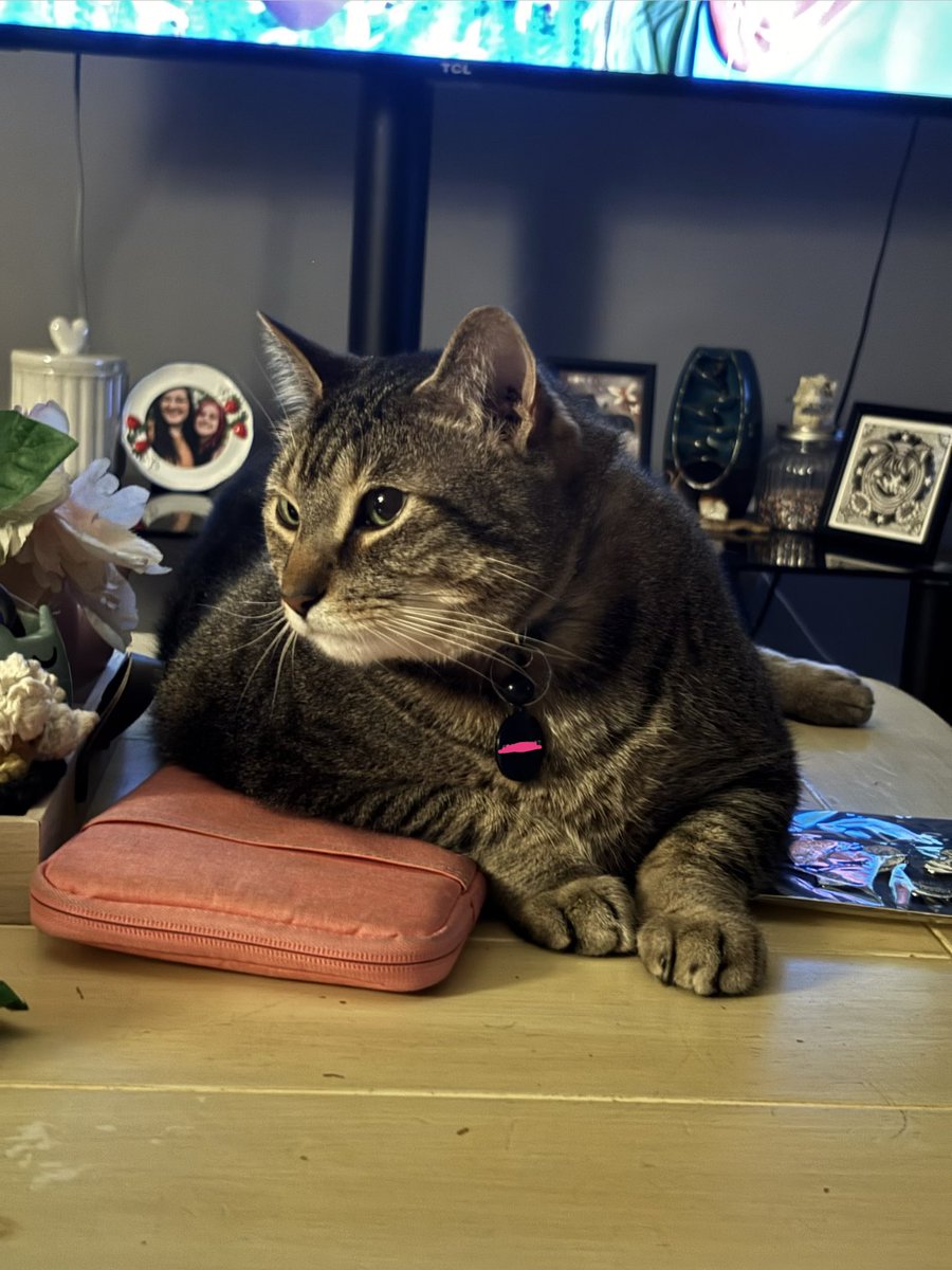 haley🦇🍓 tweet media