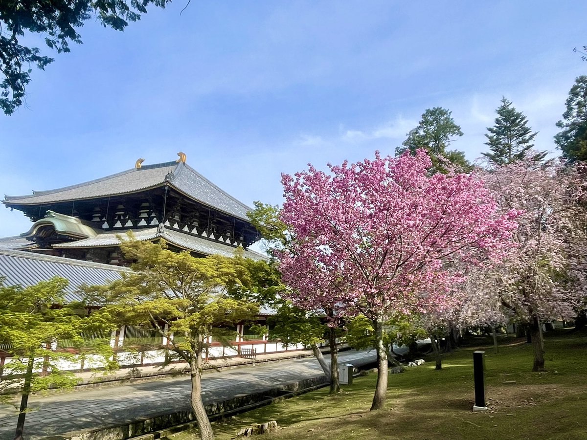 華厳宗大本山 東大寺【公式】 Tōdaiji Temple tweet media