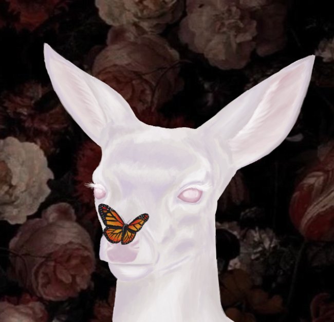 Sage 📚🌕🖤 tweet media