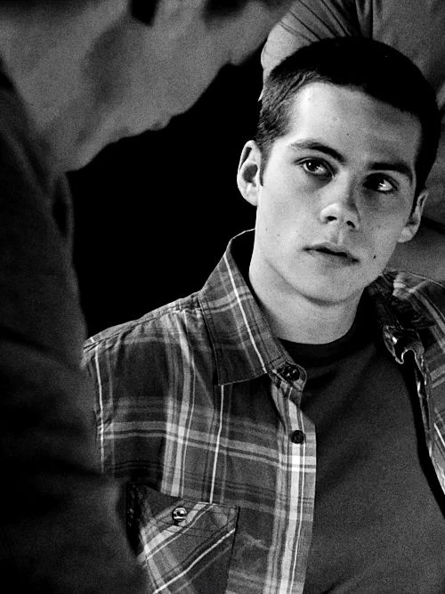 Stiles Stilinski (Parody) tweet media