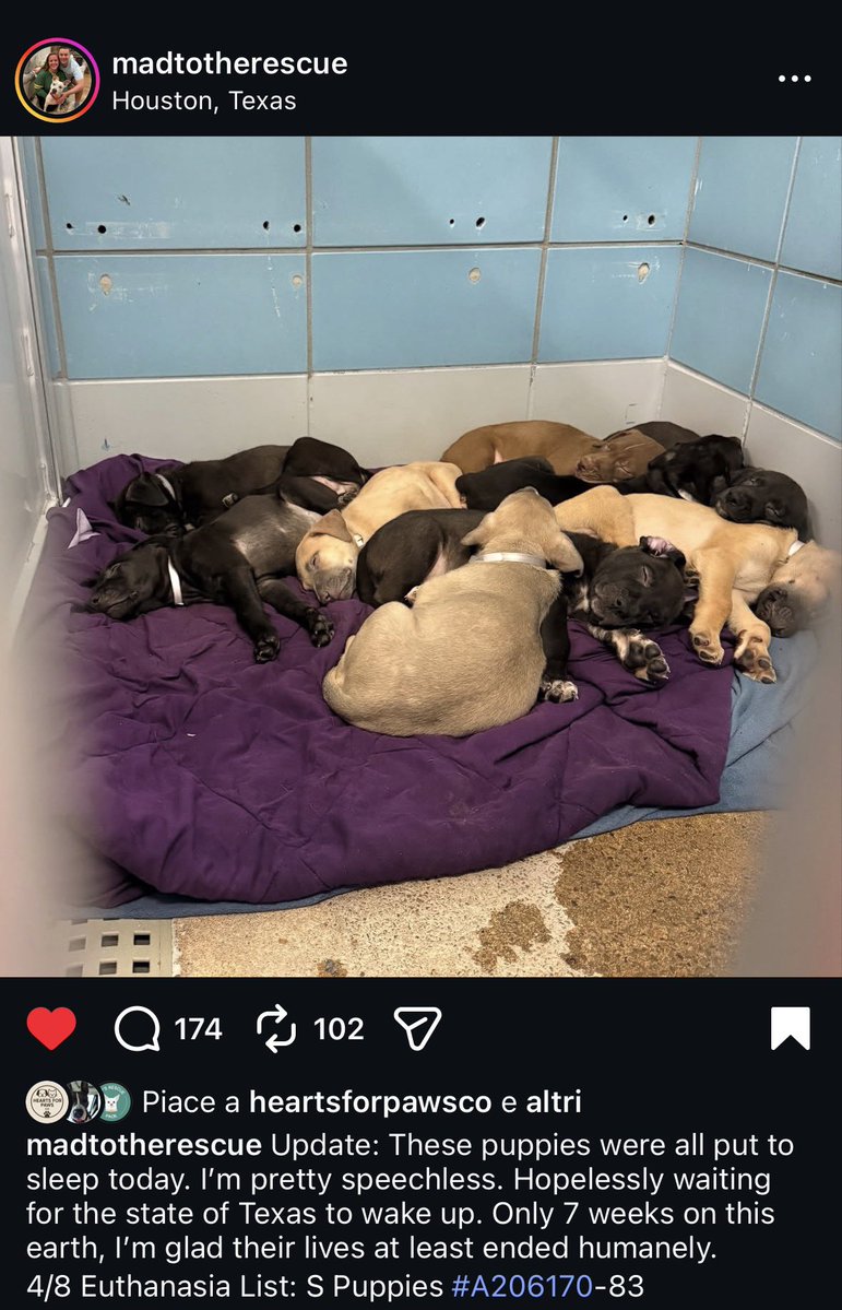 Aurora ⸆⸉ misses Liam ❯❯❯❯ tweet media