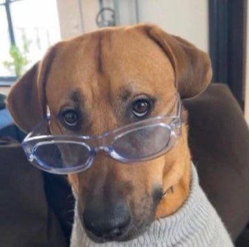 DanQuaye tweet media