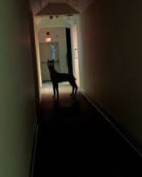 nicky 🐾 tweet media