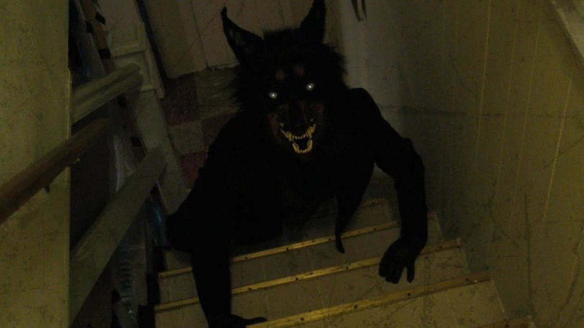 nicky 🐾 tweet media