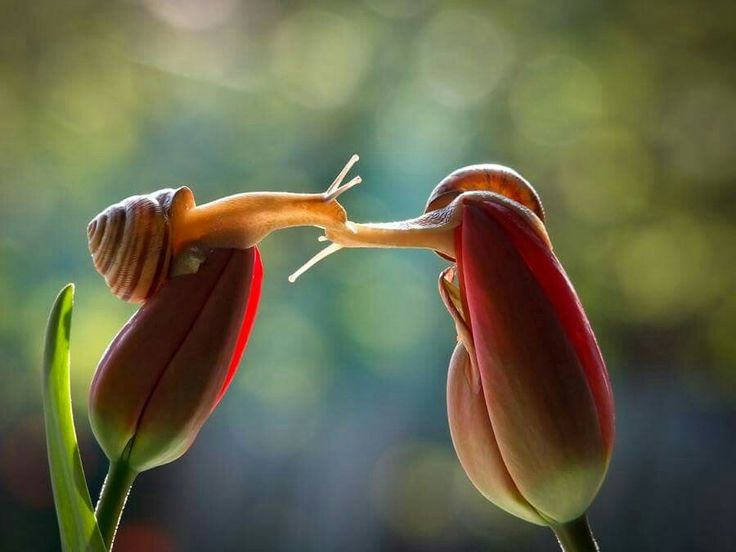 hawa ï๑ tweet media