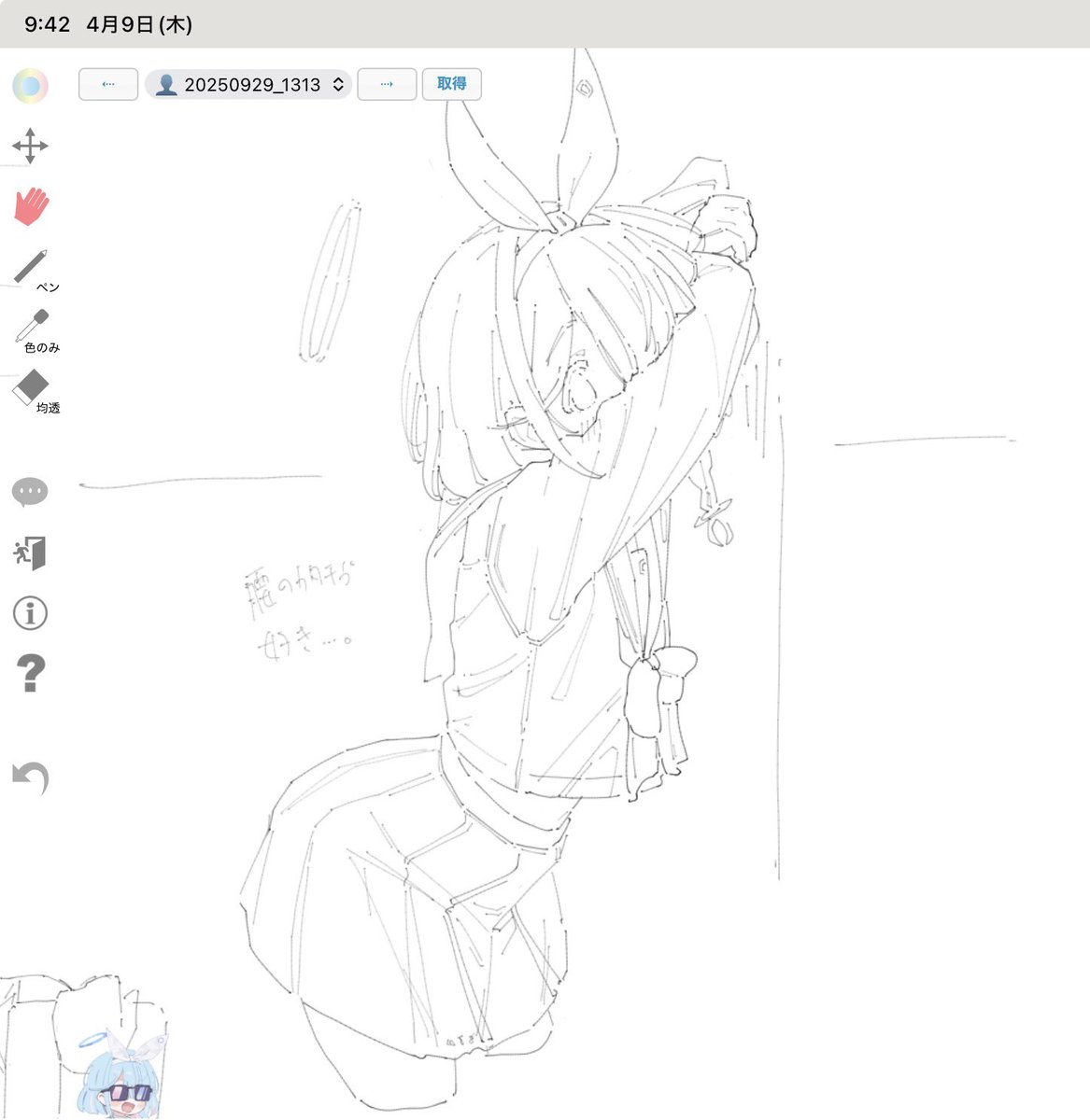 アローラ地方のおきみやげ tweet media