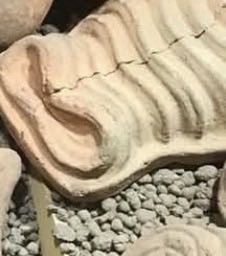 Rubberglue tweet media