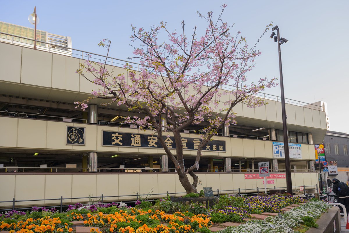 SUUMOタウン【公式】 tweet media