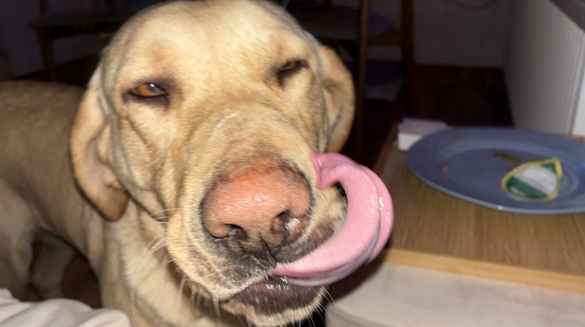 ᥲmo ❤︎ tweet media