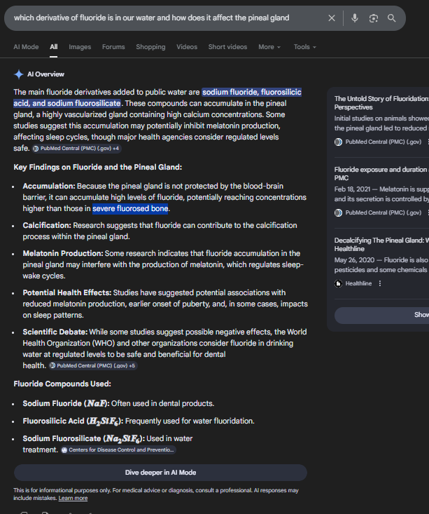 Tyler from Washington 🇺🇸 tweet media
