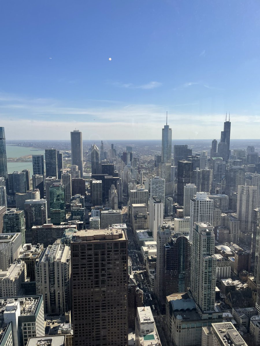 Gavin Gordon tweet media