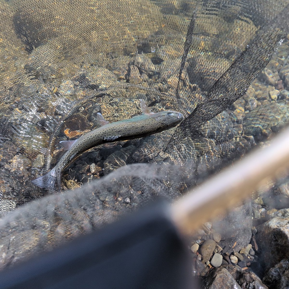 なるかぜ💼 tweet media