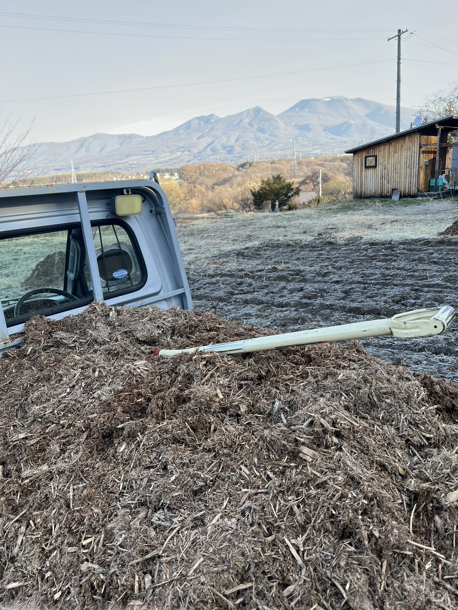 Yukie Koyama🍉🇵🇸💙💛 tweet media