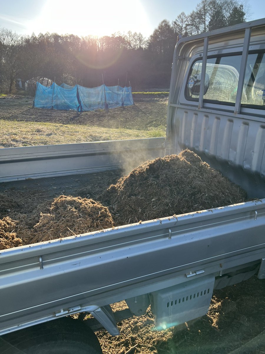 Yukie Koyama🍉🇵🇸💙💛 tweet media