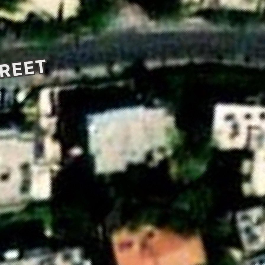 Ethan Levins 🇺🇸 tweet media