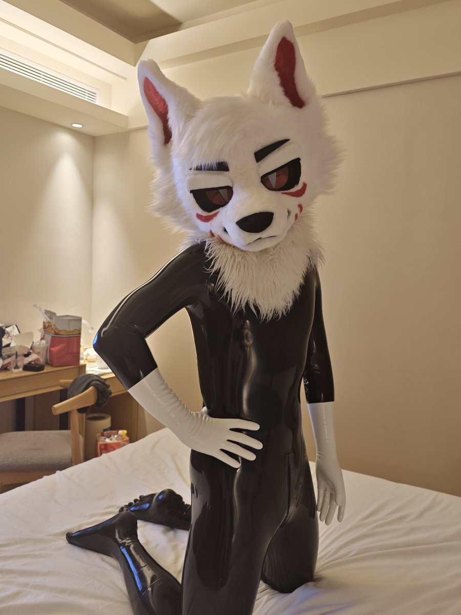 米哈不素🔥狼 tweet media