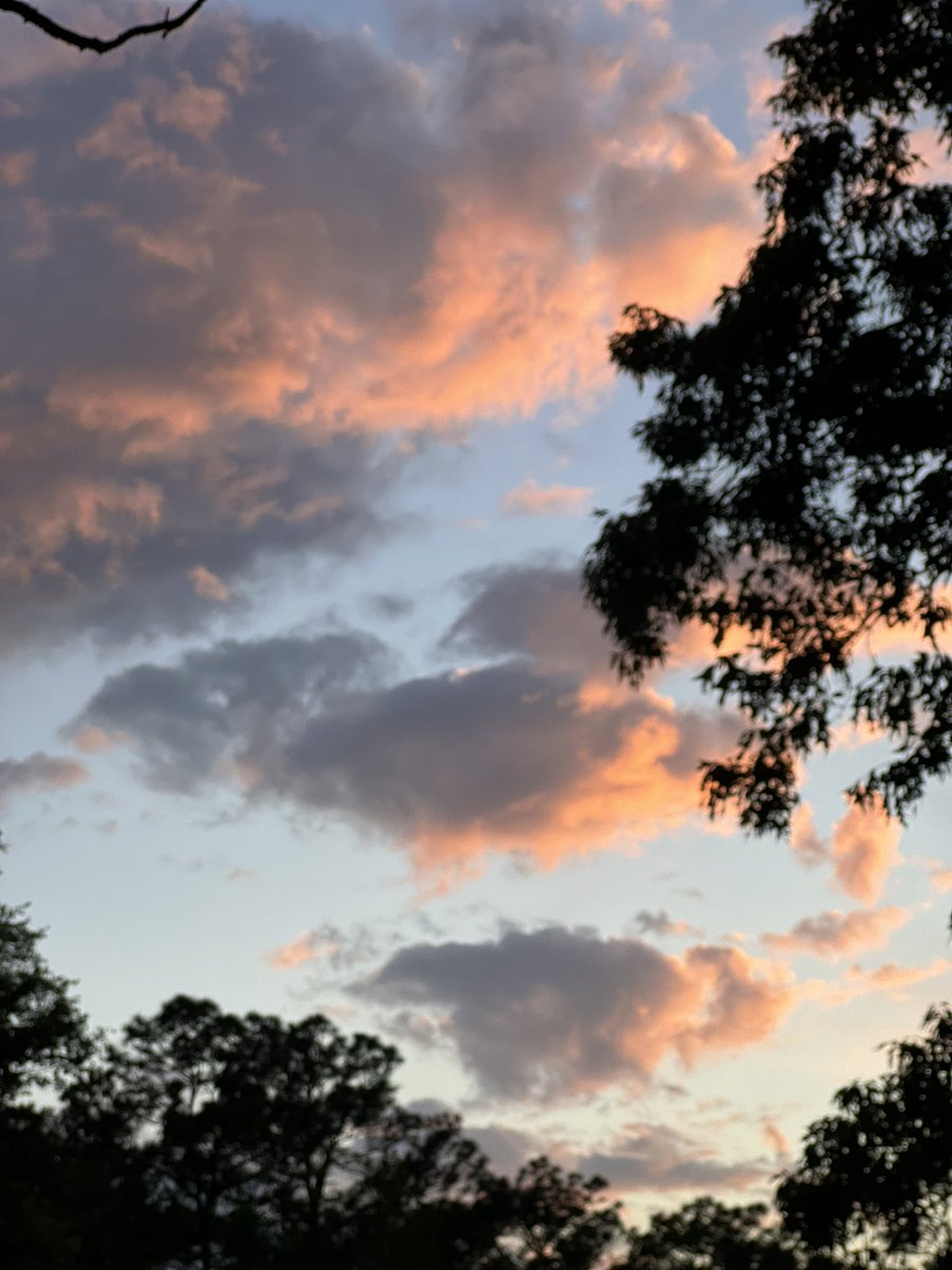 DonnaWells08's tweet photo. Tonight’s afterglow from our backyard. #Chipley https://t.co/QgWhXF4xb5