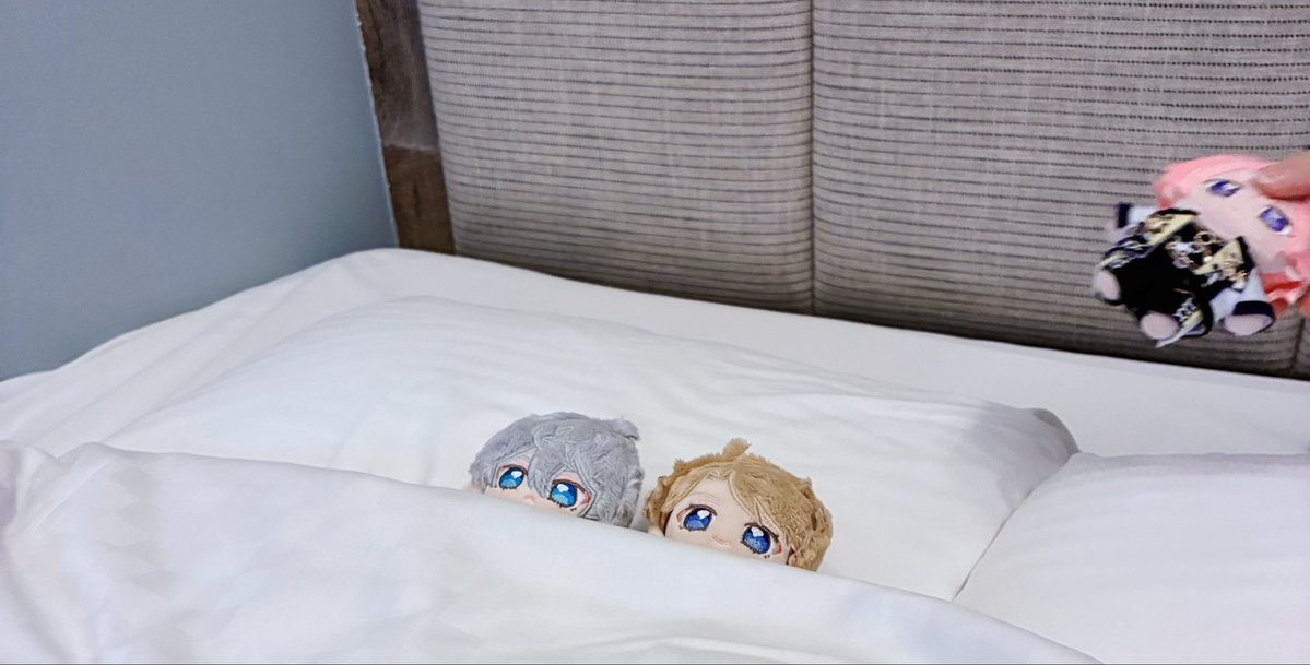 ՞しぃ՞ tweet media