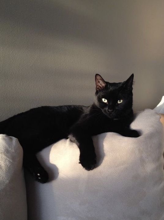 Vicky 💋 | hype 📌 tweet media