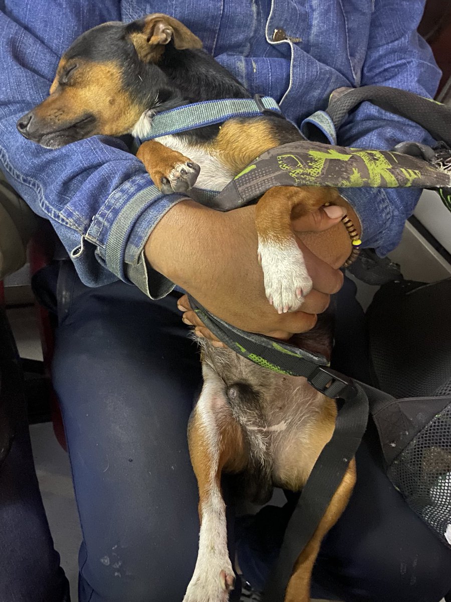 Alejandro tweet media