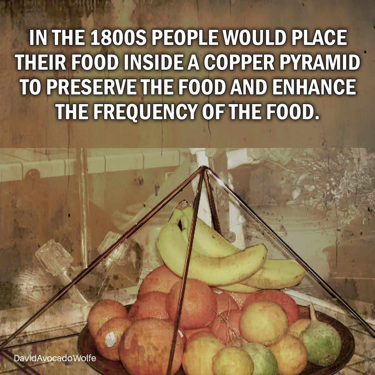 David Wolfe tweet media