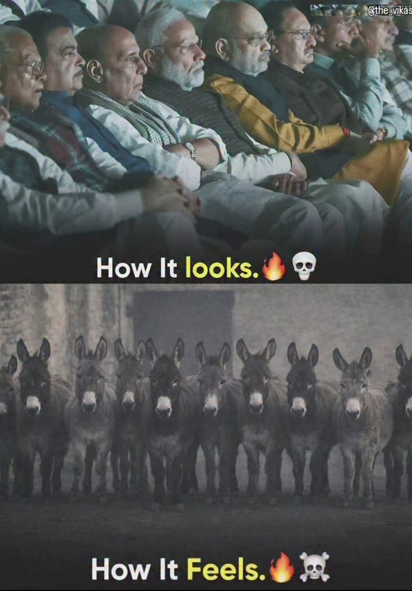 Bhavesh Makwana tweet media