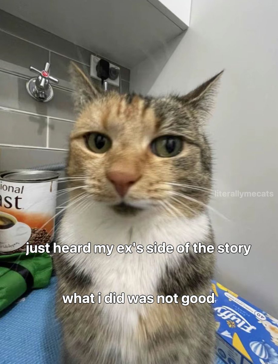 LiterallyMeCats tweet media