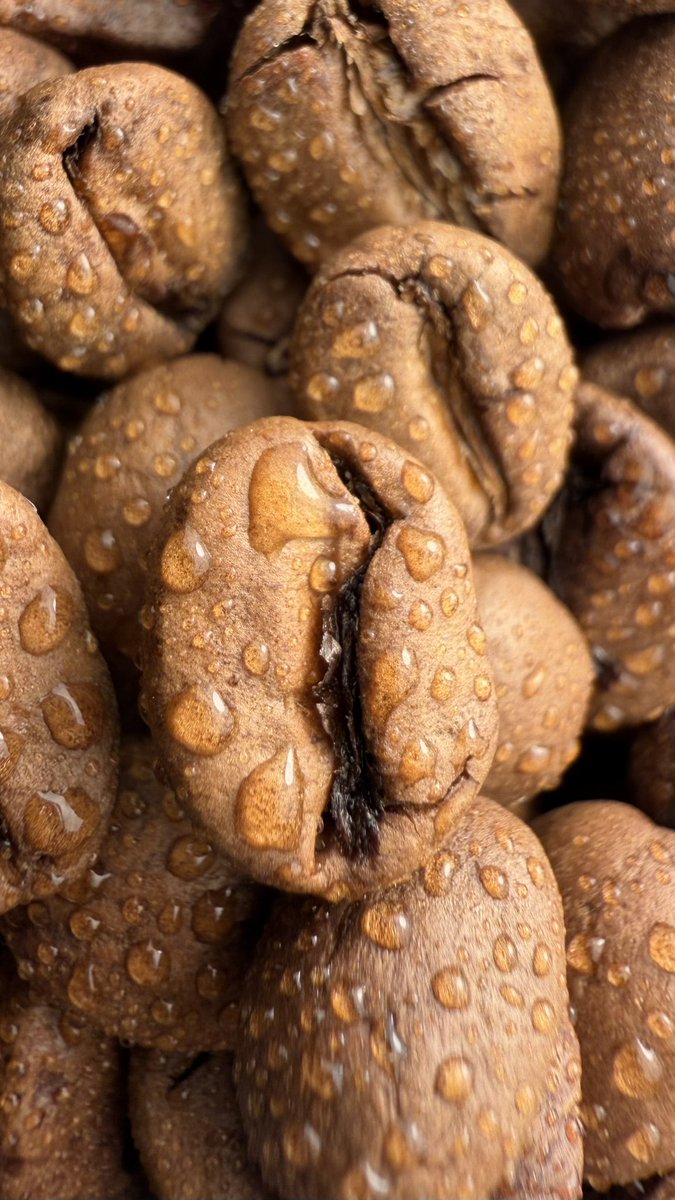 صقُر tweet media